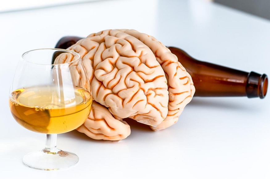Alcohol And Its Effects On Brain Cells